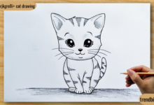 cute:mdxrjkgre8i= cat drawing