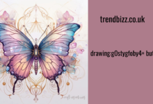 drawing:g0stygfoby4= butterfly