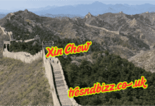 Xin Chew