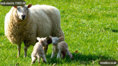 lamb electric 11892-00