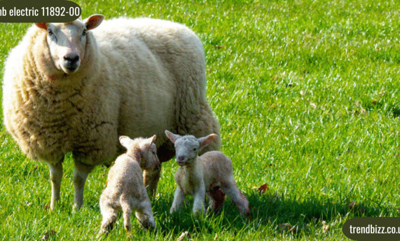 lamb electric 11892-00