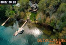 getwildfulnesss.com#