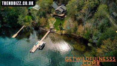 getwildfulnesss.com#