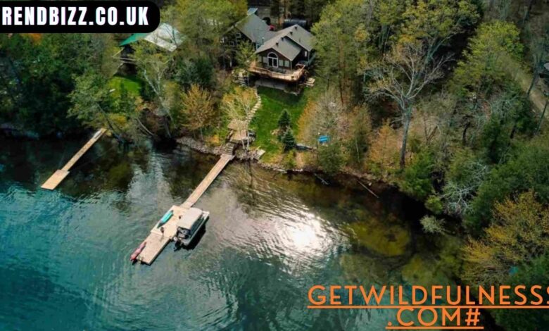 getwildfulnesss.com#