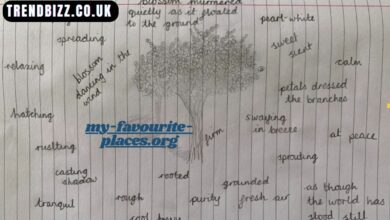 my-favourite-places.org