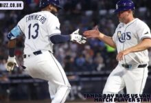 Tampa Bay Rays vs Yankees Match Player Stats