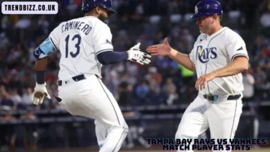 Tampa Bay Rays vs Yankees Match Player Stats