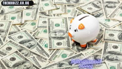 Betterthisworld Money