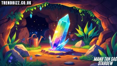 Manh Tan Sac Stardew