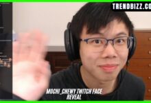 Mochi_Chewy Twitch Face Reveal
