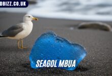 Seagol Mbua