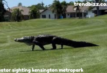 alligator sighting kensington metropark