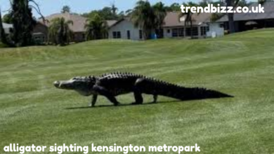 alligator sighting kensington metropark