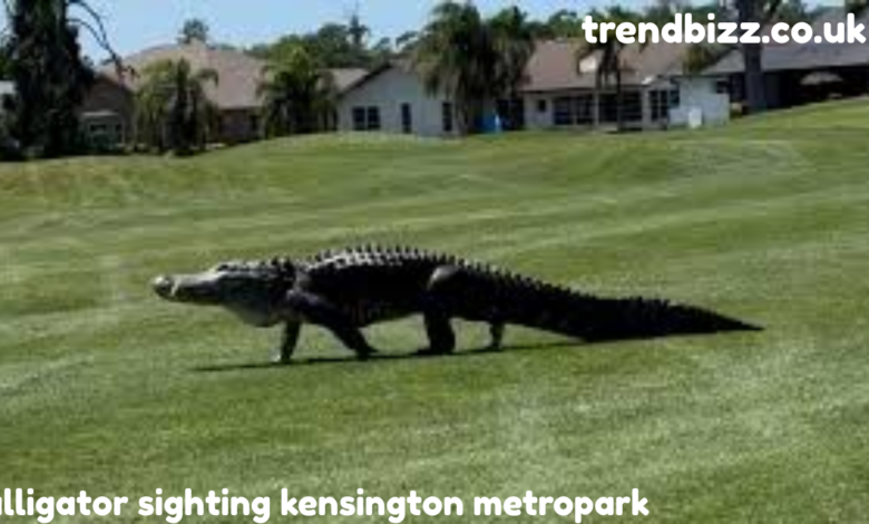 alligator sighting kensington metropark