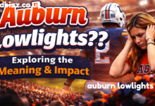 auburn lowlights