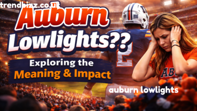 auburn lowlights