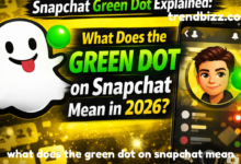 what does the green dot on snapchat mean